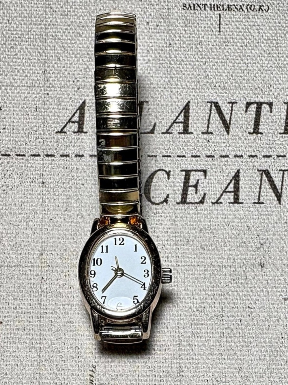 FMD FMDWS163 Two-Tone Analog Watch